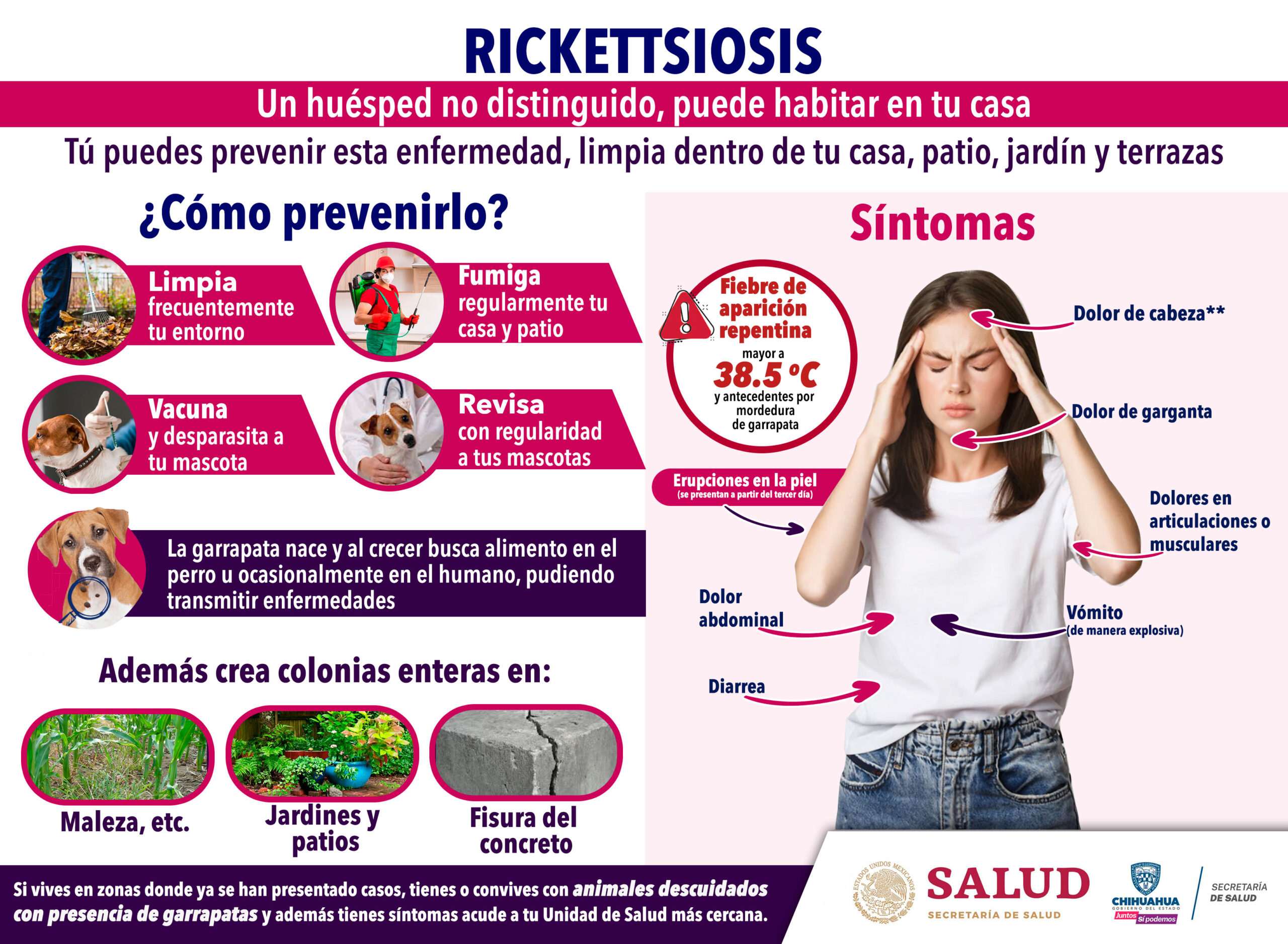 Crisis de Rickettsia en Chihuahua: 29 Muertos y 81 Casos Reportados Este Año